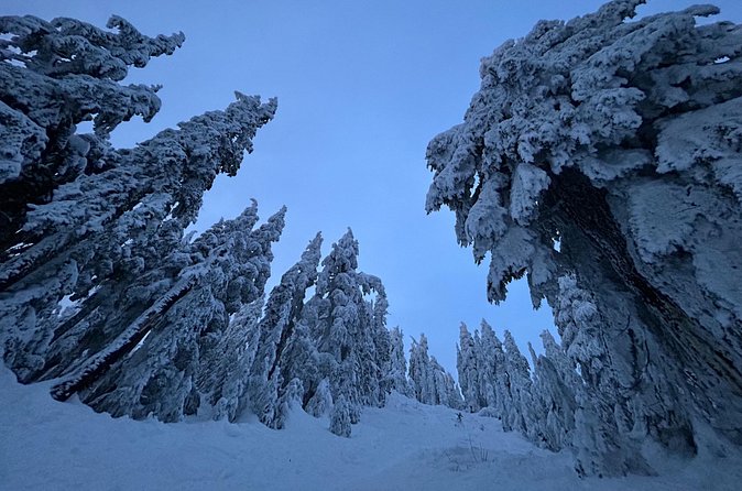 Slow down and enjoy winter on a private snowshoe tour. - The Itinerary: From Grouse Mountain to Winter Viewpoints