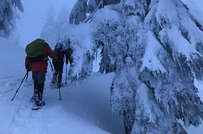 Slow down and enjoy winter on a private snowshoe tour. - The Value of This Evening Snowshoe Adventure