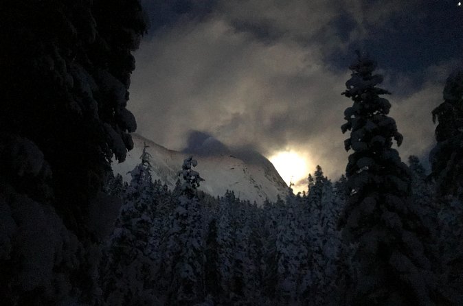 Slow down and enjoy winter on a private snowshoe tour. - Who Will Most Enjoy This Private Snowshoe Tour?