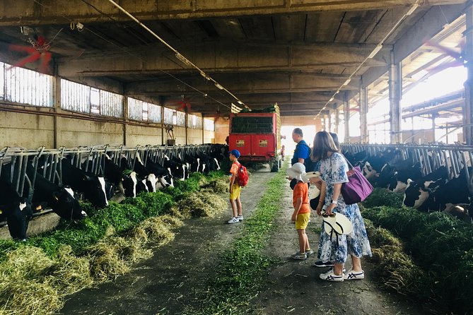 Slow Parma Food Experience Half Day Private Tour and Tasting - Practical Tips for Making the Most of the Tour