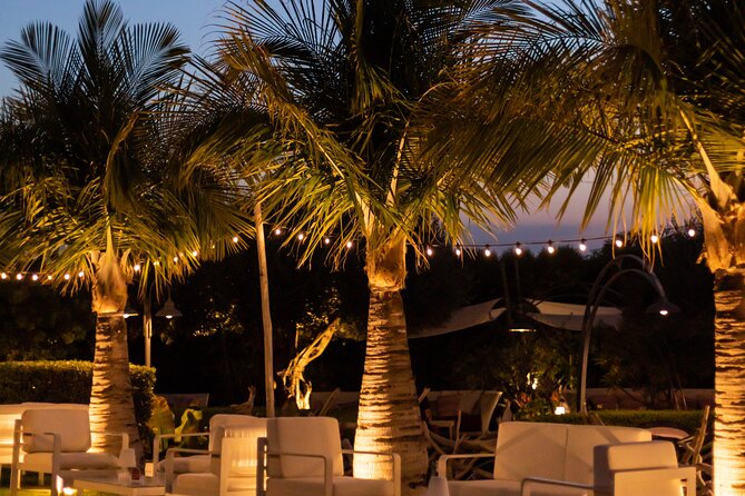 Slow Wine & Tartufo Gelato Tasting Experience - Exploring Tropea’s Rural Charm on a Scenic Drive