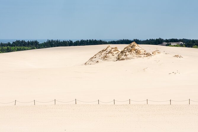 Slowinski National Park Private Tour - Exploring Slowinski National Parks Coastal Dunes