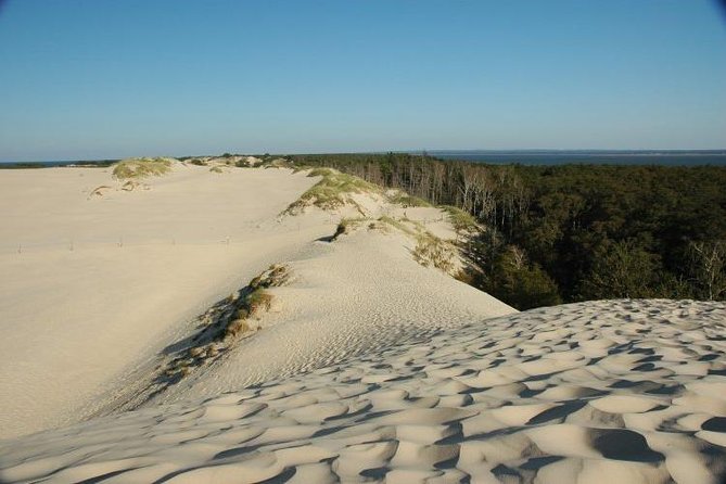 Slowinski National Park Private Tour - The Expertise and Style of the Tour Guide