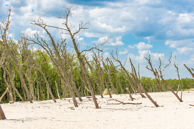 Slowinski National Park Private Tour - Accessibility and Suitability for Most Travelers