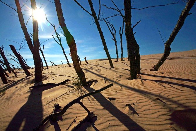 Slowinski National Park Private Tour - Booking and Cancellation Flexibility