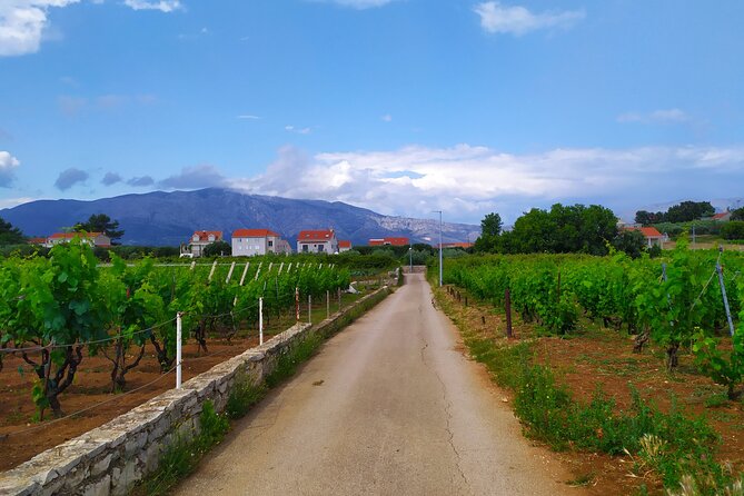 Slurp of Grk Wine Tour - Wine Tastings and Local Snacks