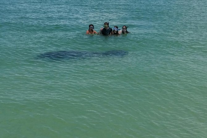 Small Group 2 Hour Dolphin Cruise with Snorkeling to Shell Key - Snorkeling at Shell Key Island: What You Can Expect