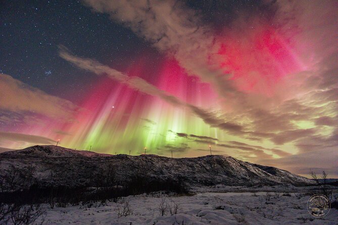 Small Group 4x4 Van Journey in Search of the Northern Lights - Photography Tips and Professional Photos