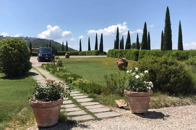 Small group (7) Chianti-side wine tour with Mercedes V class Van - Key Points