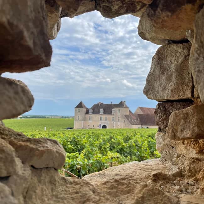 Small group Afternoon in Côte de Nuits - Discover the Côte de Nuits in a 3-Hour Small Group Tour