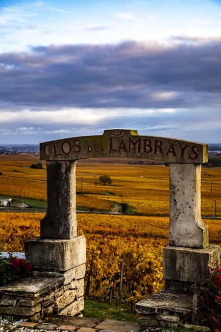 Small group Afternoon in Côte de Nuits - Key Points