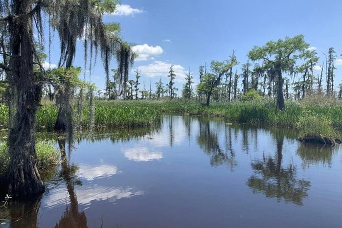 Small-Group Airboat Swamp Tour with Downtown New Orleans Pickup - Small-Group Airboat Tour Ideal for Nature and Wildlife Lovers