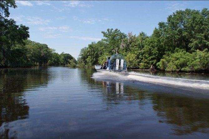 Small-Group Airboat Swamp Tour with Downtown New Orleans Pickup - Recognized for Excellence and High Ratings