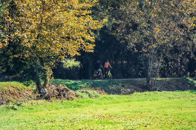 Small-group Amarone Wine e-Bike Tour from Verona - Discover the Best of Verona and Valpolicella on an E-Bike Tour
