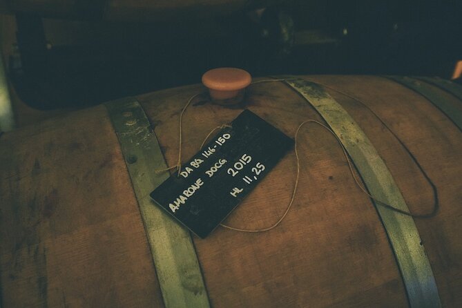 Small-group Amarone Wine e-Bike Tour from Verona - Cycling Through the Vineyards and Olive Groves