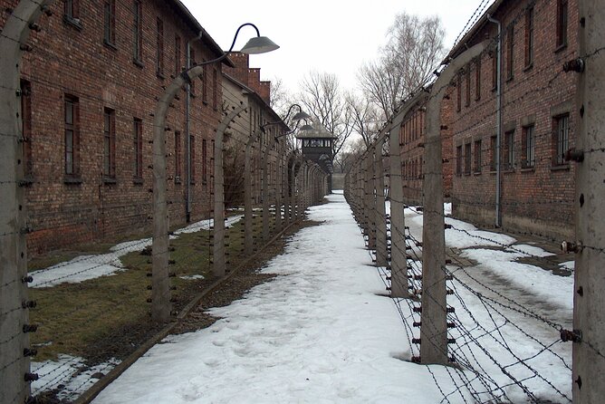 Small Group Auschwitz-Birkenau Guided Tour from Krakow ABTA - Exploring Birkenau: The Extermination Camp