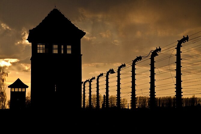 Small Group Auschwitz-Birkenau Guided Tour from Krakow ABTA - Practical Details: Duration, Breaks, and Dress Code