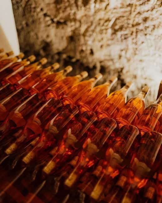 Small Group Balkans Tour; From Sarajevo to Tirana in 8 Days - Discovering Kotor’s Maze of Cobblestone Streets