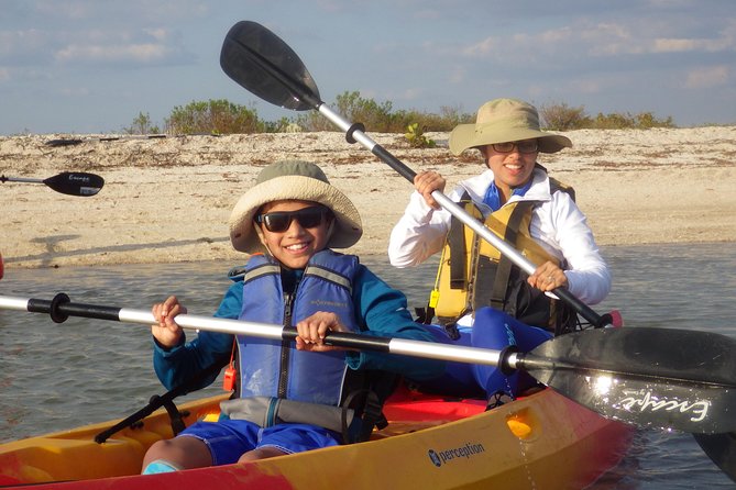 Small Group Boat, Kayak and Walking Guided Eco Tour Everglades - The Small-Group Experience with Certified Naturalists
