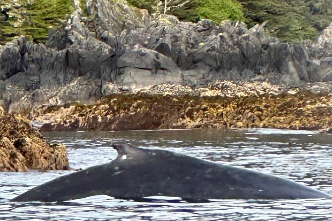 Small Group Boat Tour of Sitka - Departure Point and Group Size for Personal Attention