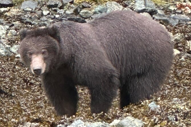 Small Group Boat Tour of Sitka - The Itinerary and Unique Stops