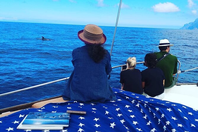 Small Group Boat Whale and Dolphin Watching Tour - The Picnic and Time at Las Salinas Beach