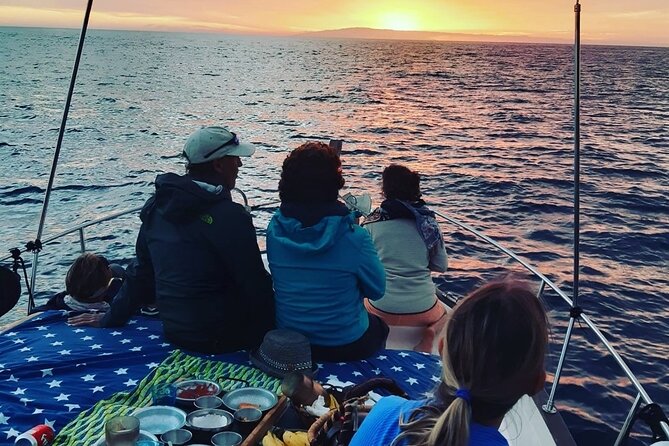 Small Group Boat Whale and Dolphin Watching Tour - The Sum Up: A Gentle Adventure in La Gomera’s Marine Environment