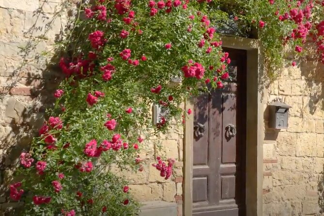 Small group Brunello di Montalcino Wine Tour from Siena - Practicalities: Logistics and Group Size