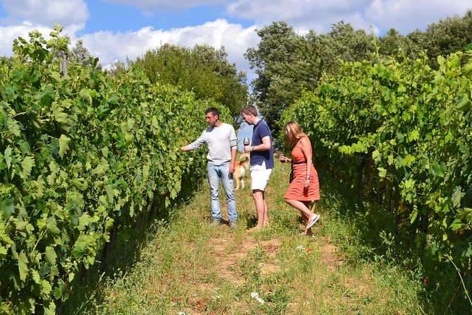 Small-Group Brunello Wine Tour of Montalcino from Florence - The Value of the Experience