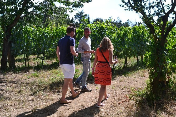 Small-Group Brunello Wine Tour of Montalcino from Florence - Who Should Consider This Tour?