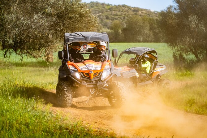 Small-Group Buggy Riding Safari in Algarve - Key Points