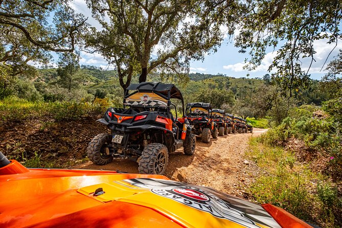 Small-Group Buggy Riding Safari in Algarve - Navigating Algarve’s Off-Road Trails and Scenic Paths