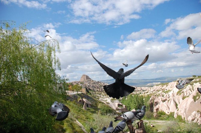 Small Group Cappadocia Tour - Exploring Goreme Open-Air Museum: Cave Churches and Monastic Sites