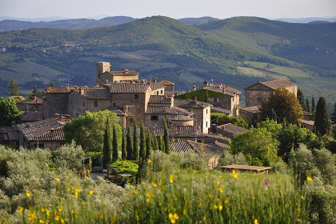 SMALL GROUP Chianti 2 wineries & lunch (max 8 people) - Tasting a Variety of Local Wines