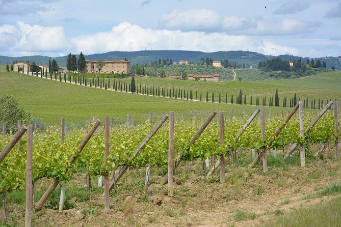 SMALL GROUP Chianti 2 wineries & lunch (max 8 people) - Cost-Effective and Highly Praised Experience