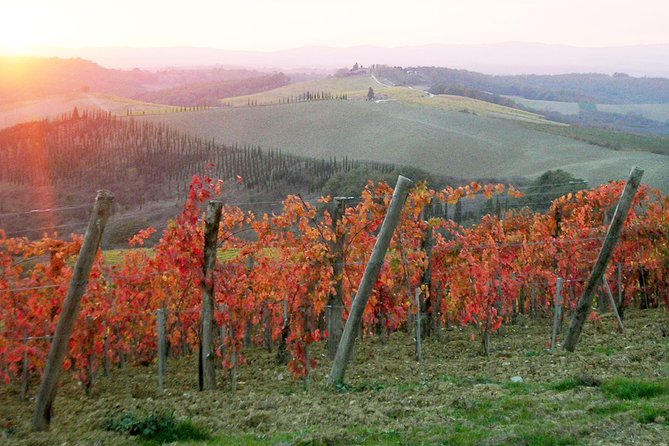 Small-Group Chianti and San Gimignano Sunset Trip from Siena - San Gimignano’s Historic Center at Sunset