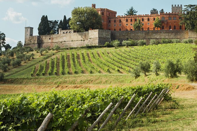 Small-Group Chianti Trip with Wine Tasting from Siena - Visiting Castello di Vertine and its Medieval Charm