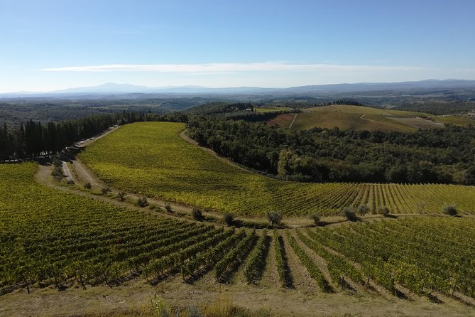 Small-Group Chianti Trip with Wine Tasting from Siena - The Guide: Knowledgeable, Friendly, and Engaging