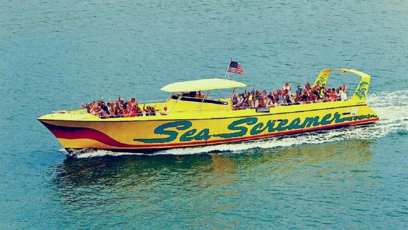 Small Group Clearwater Beach,Dolphin Watch Tour from Orlando - Pick-up and Drop-off Details