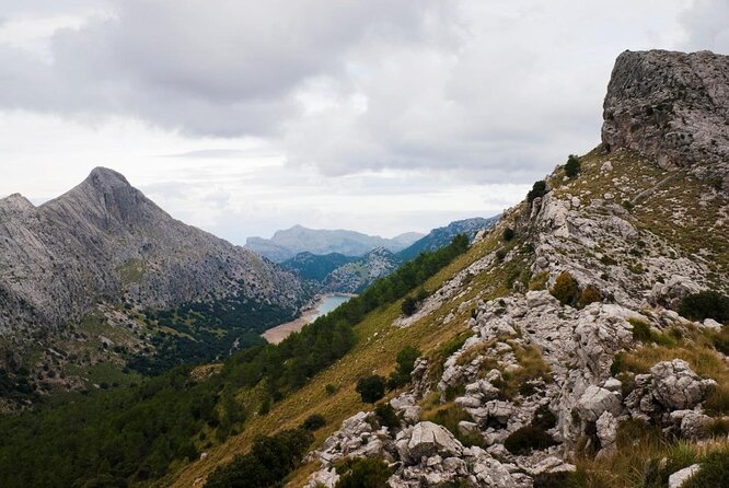 Small-Group Cliff Jumping Experience in Mallorca - Scrambling and Stream Crossing in Craggy Terrain