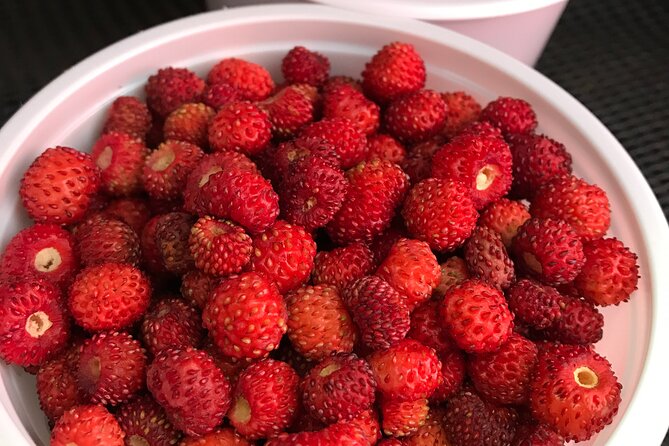 Small Group Corfu Gastronomy Tour - Tasting Fresh Butter at Alexis Dairy Shop