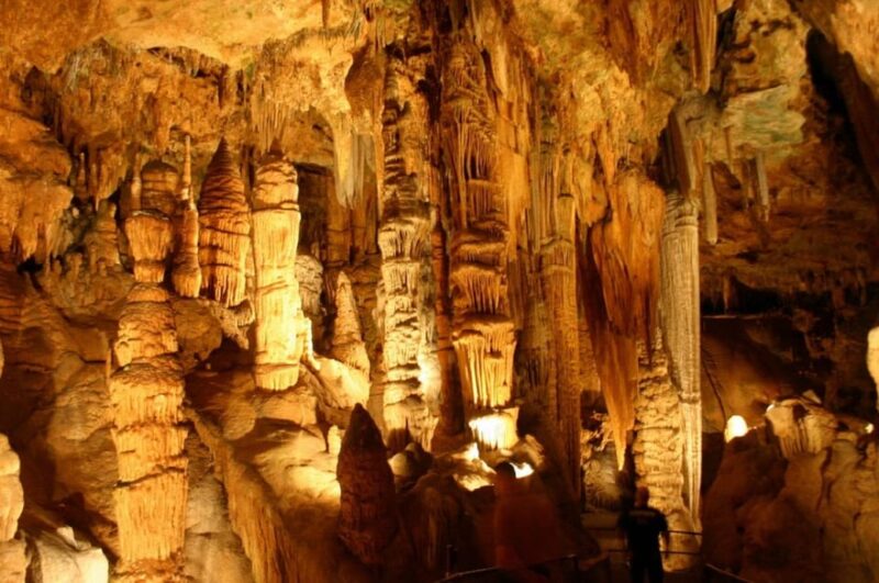 Small-Group D.C. Day Trip to Shenandoah Park & Luray Cavern - Highlights from the Reviews