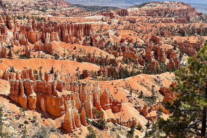 Small Group Day Tour To Explore Bryce Canyon & Zion National Park - The Experience with Knowledgeable Guides and Small-Group Comfort