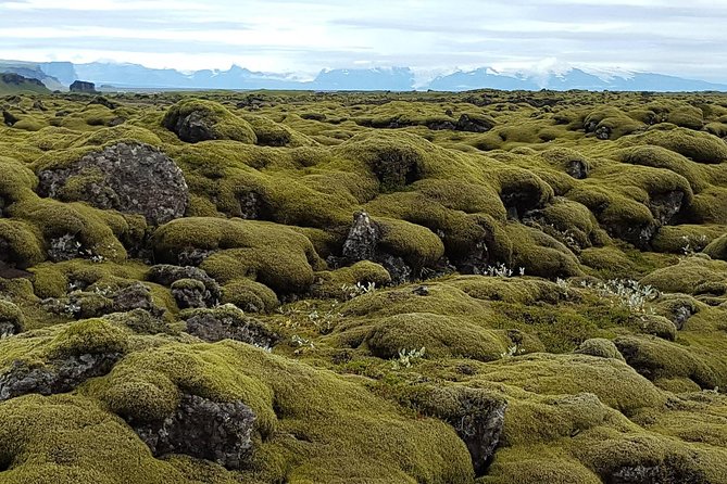 Small Group Day Tour to Lakagigar volcano by Super Jeep from Klaustur - Walking Along Fjadrargljufur Canyon’s Verdant Cliffs