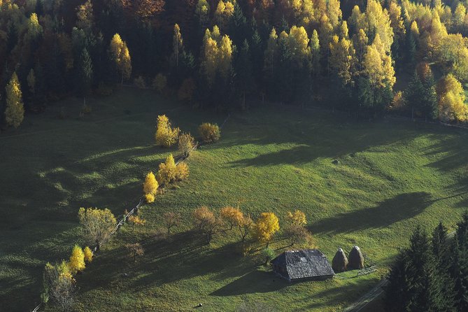 Small-Group Day Trip in Romanian Authentic Mountain Villages from Brasov - Cheese Tasting at the Oldest Guesthouse in the Park