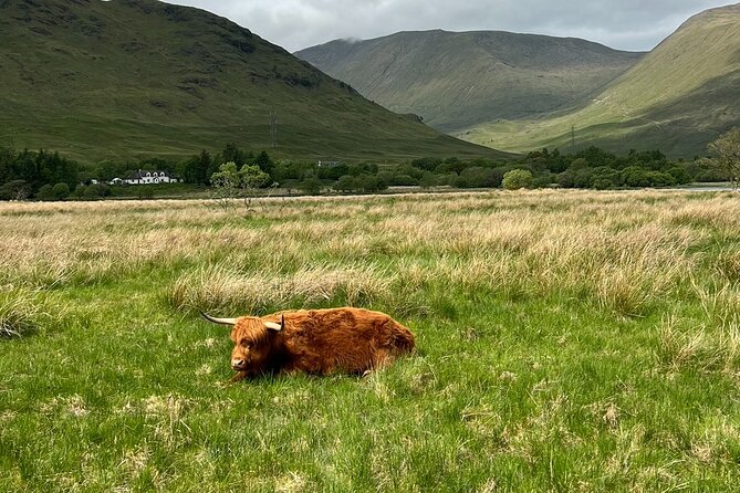 Small Group Day Trip to the Stunning Scottish Highlands & Glencoe - Local Hospitality and Scenic Lunch Break