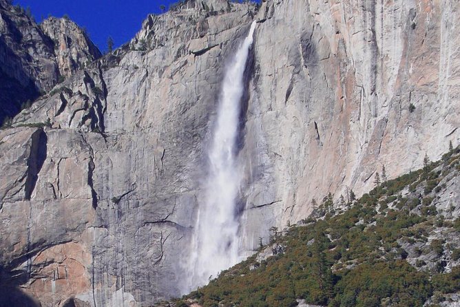 Small-Group Day Trip to Yosemite from Lake Tahoe - Logistics and Physical Requirements of the Tour