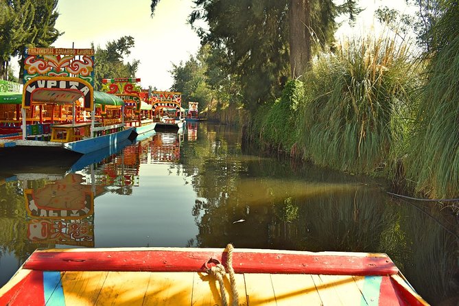 Small Group: Discover Xochimilco, Coyoacán, Frida Kahlo Museum and House - Inside Frida Kahlo’s Blue House: An Intimate Artistic Space