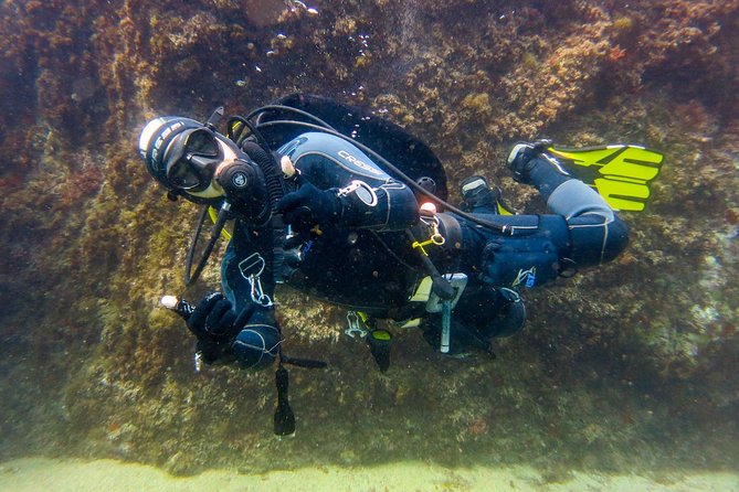 Small Group Diving Baptism in Tossa de Mar - Equipment and Insurance Included in the Tour