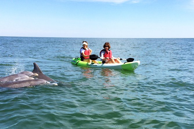 Small Group Dolphin Kayak Eco-Tour - Discover the Small Group Dolphin Kayak Eco-Tour in Virginia Beach